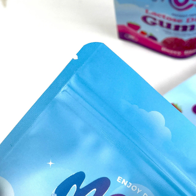 Custom Printed Moisture-Proof Mylar Stand-Up Bag Segel Zipper Bag Untuk Candy Tea Gift Nut Packaging